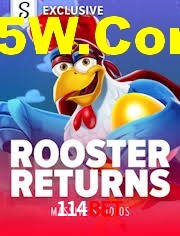 Sports Statistics 114Bet